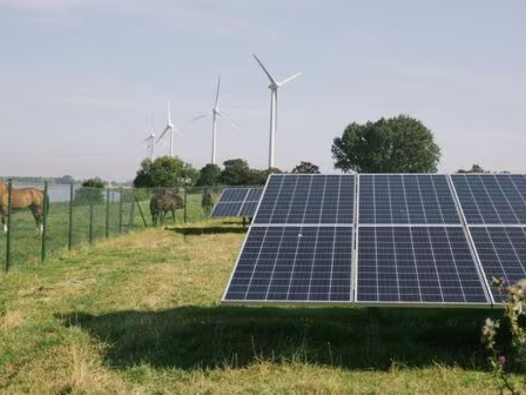 Electricity That Costs Nothing—or Even Less_ It’s Happening More and More