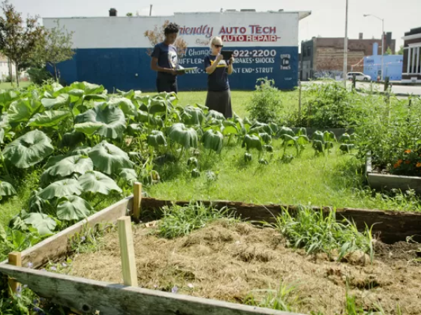 0d03d830-d89b-4b32-bb26-a9ffa9898cd6 0d03d830-d89b-4b32-bb26-a9ffa9898cd6