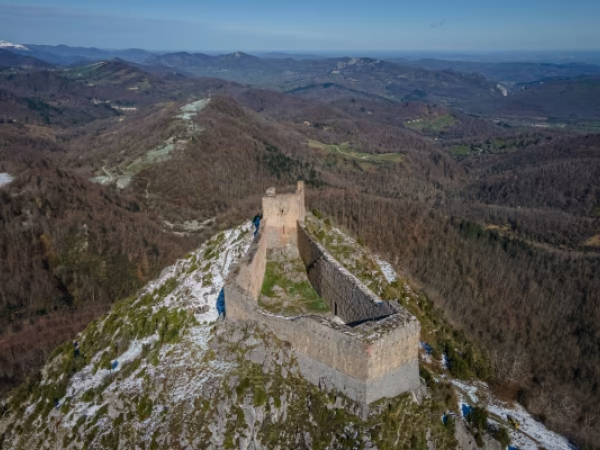 Are allocators using alternatives to defend or attack_