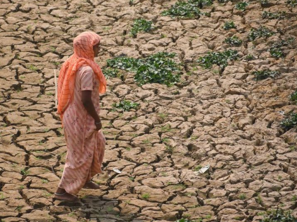 Climate change_ El Niño ends with uncertainty over cooler future Climate change_ El Niño ends with uncertainty over cooler future