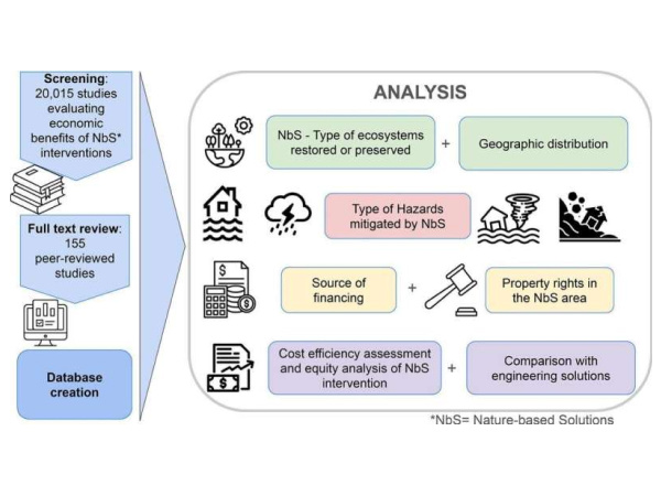 Nature-based solutions to disaster risk from climate change are cost-effective, study confirms Nature-based solutions to disaster risk from climate change are cost-effective, study confirms