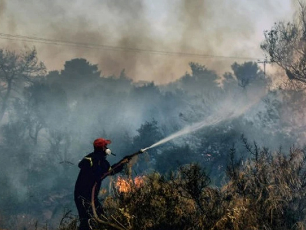 Restoring Nature Is Our Only Climate Solution