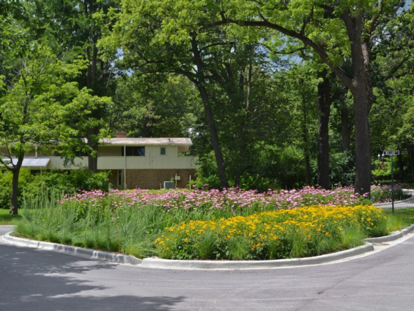Sponge Cities Are the Future of Urban Flood Mitigation