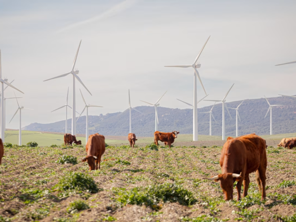 The problem with Europe_s ageing wind farms The problem with Europe_s ageing wind farms