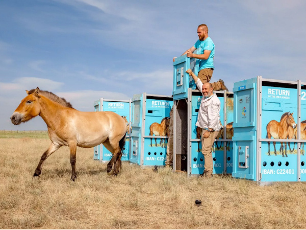 beb30667-1c52-4e0d-b338-8b2321bd870e beb30667-1c52-4e0d-b338-8b2321bd870e