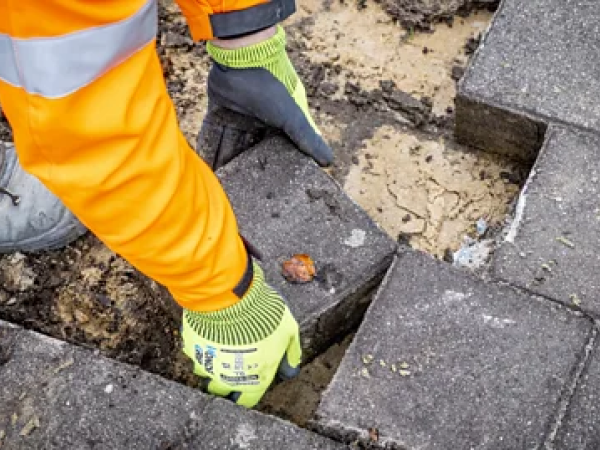 e57c4eae-820b-465d-9fe0-fb2a7f91370c e57c4eae-820b-465d-9fe0-fb2a7f91370c